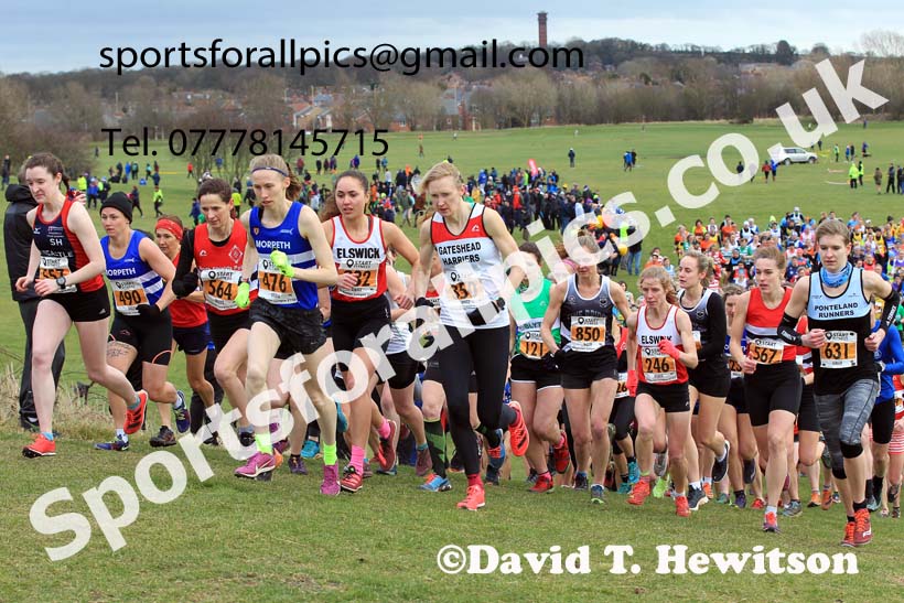 Senior womens 2022 NEHL Sherman Cup/Davison Shield, Temple Oark, South Shields. Photo: David T. Hewitson/Sports for All Pics
